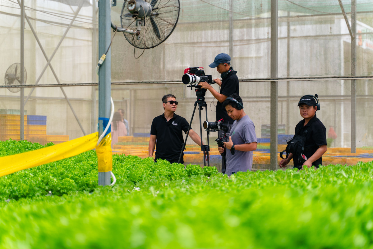 ngày on set